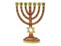 Gold with Red Enamel 7-Branch Menorah, Judaic emblems and Star of David - 9.5