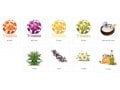 H&B Firming Facial Mask with Collagen, Dead Sea Minerals and Plant Extracts