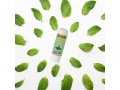 H&B Healing Lip Balm for Chapped or Dry Lips - Mint Flavor