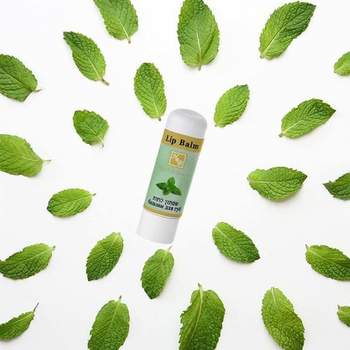 H&B Healing Lip Balm for Chapped or Dry Lips - Mint Flavor