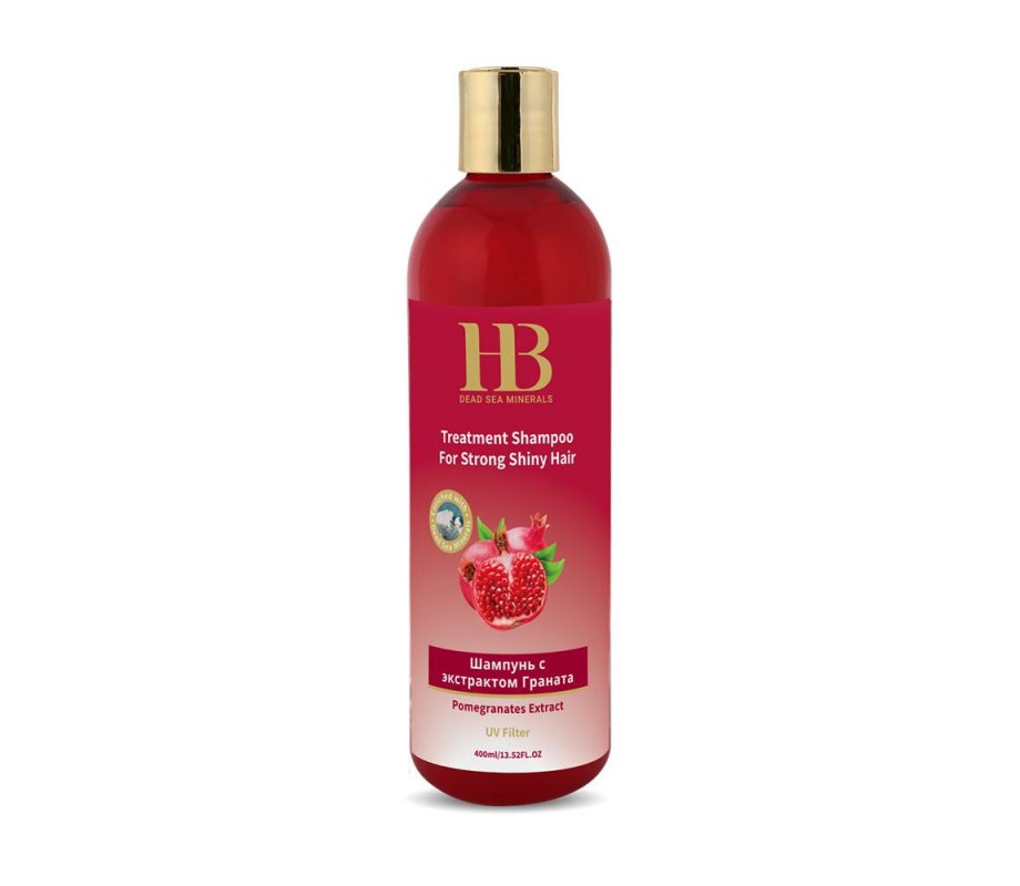 H&B Treatment Shampoo with Dead Sea Minerals | aJudaica.com