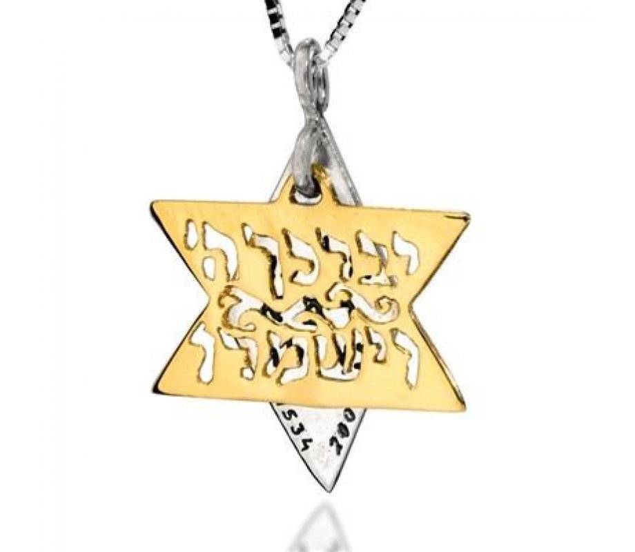 HaAri Jewelry Kohen Blessing Star of David Two-Tone Pendant 9K Gold & Sterling Silver