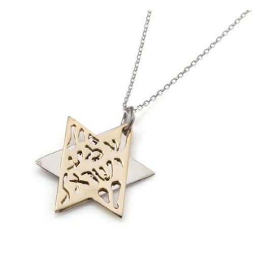 HaAri Jewelry Shema Yisrael Star of David Two-Tone Pendant 9K Gold & Sterling Silver