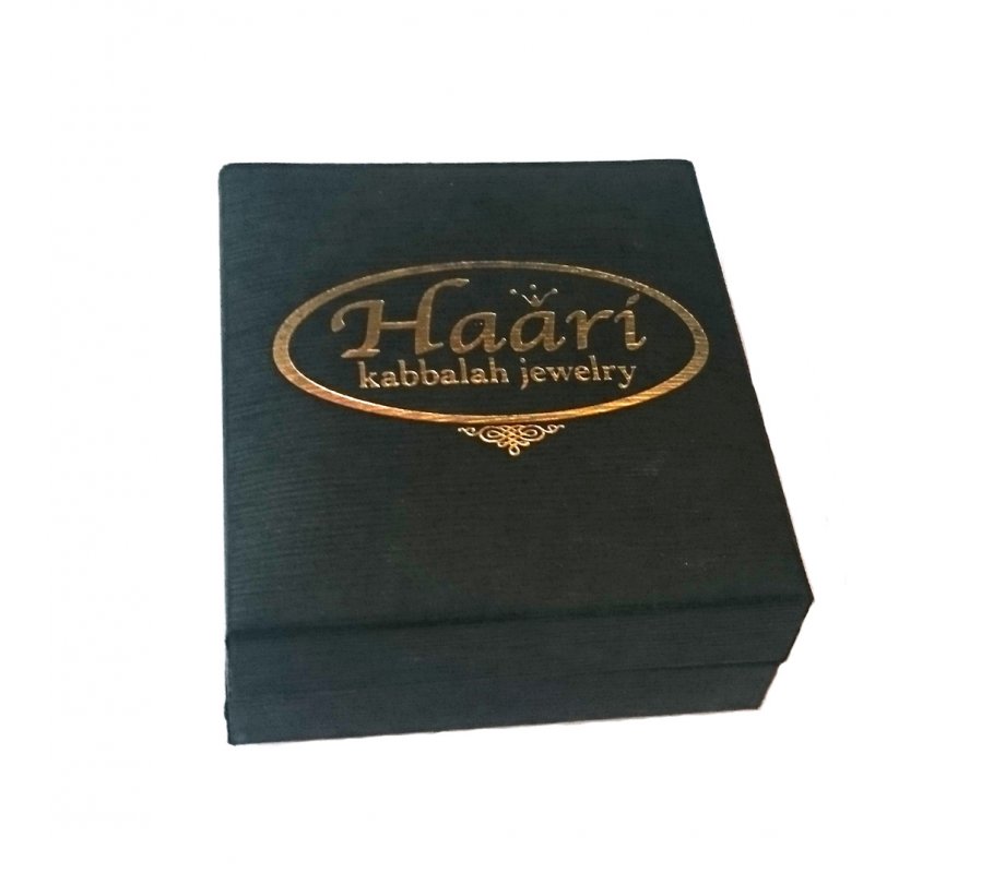 HaAri Jewelry Shema Yisrael Star of David Two-Tone Pendant 9K Gold & Sterling Silver