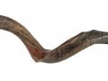 Half Natural Half Polished Nostalgic Crown Yemenite Shofar