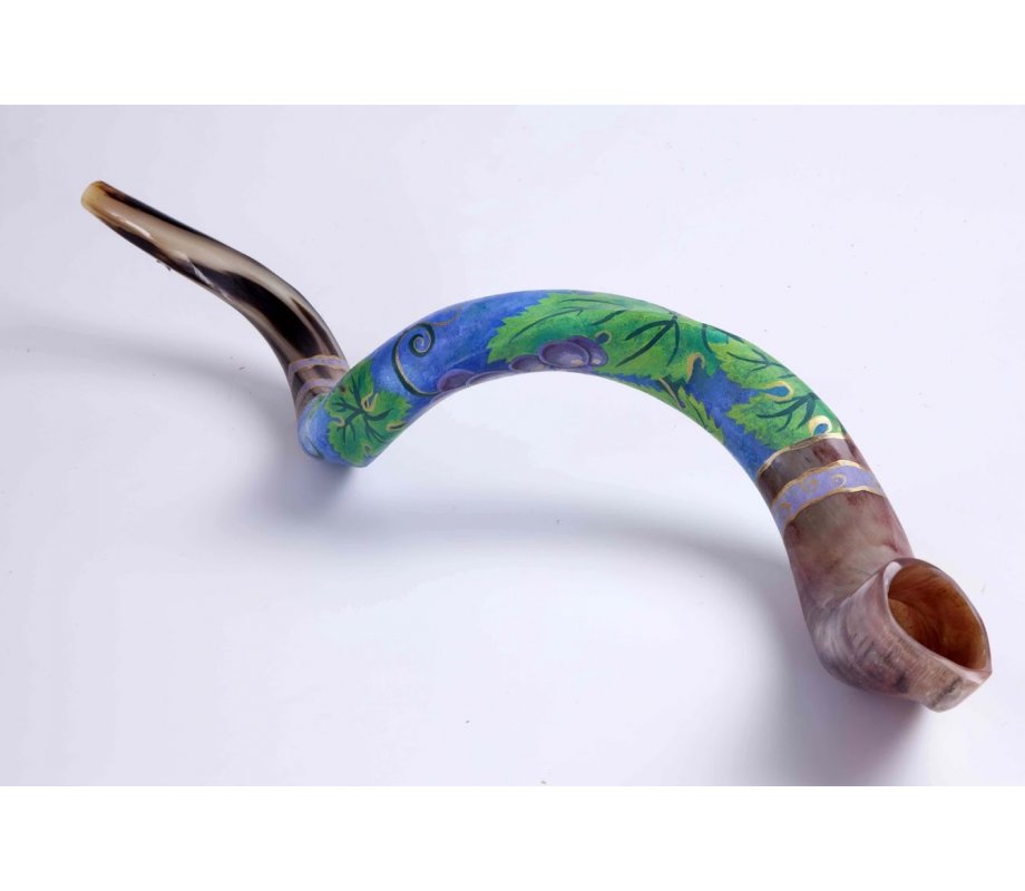 Hand Painted Yemenite Shofar - Grape Cluster