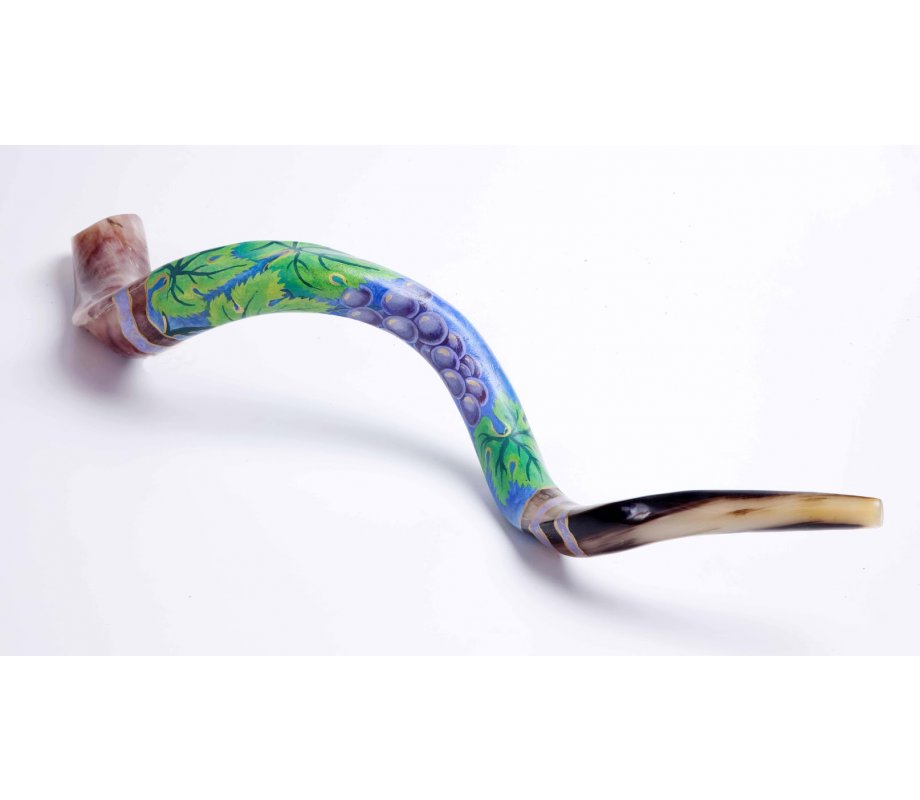 Hand Painted Yemenite Shofar - Grape Cluster