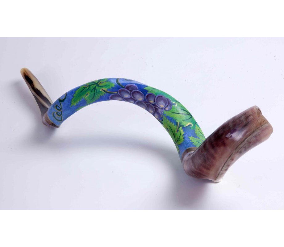 Hand Painted Yemenite Shofar - Grape Cluster