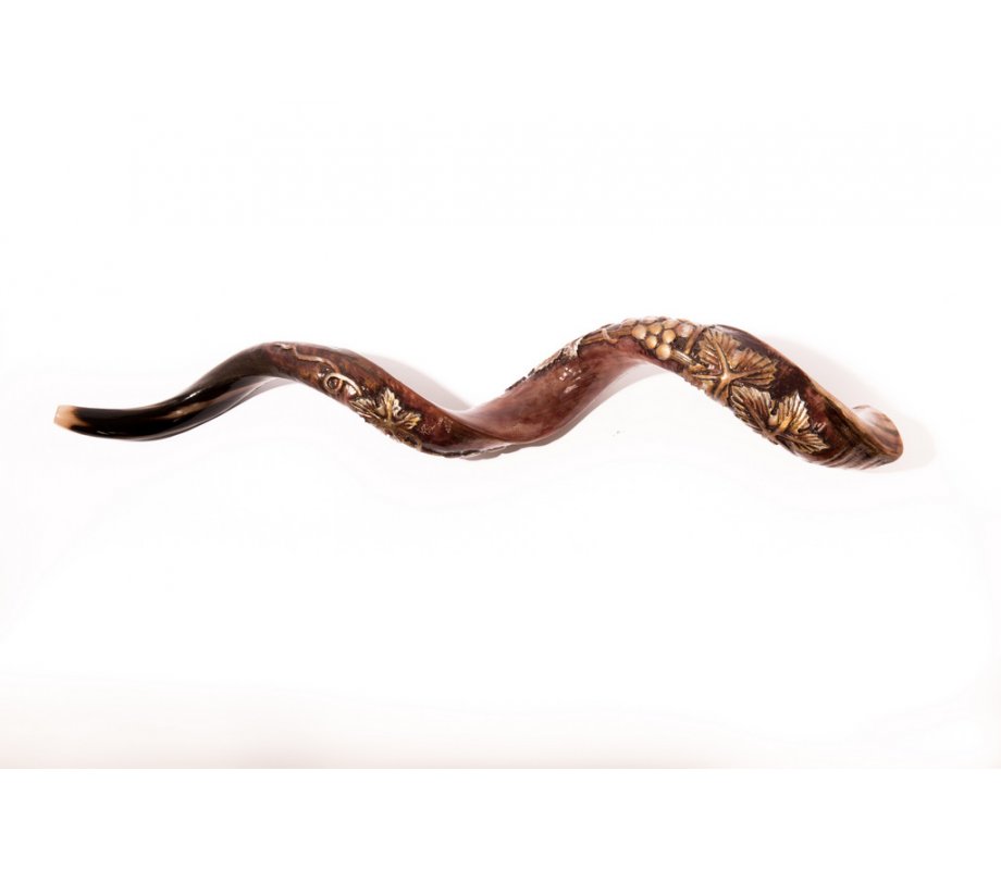 Hand Sculpted Yemenite Shofar - 3D Grapevine Design