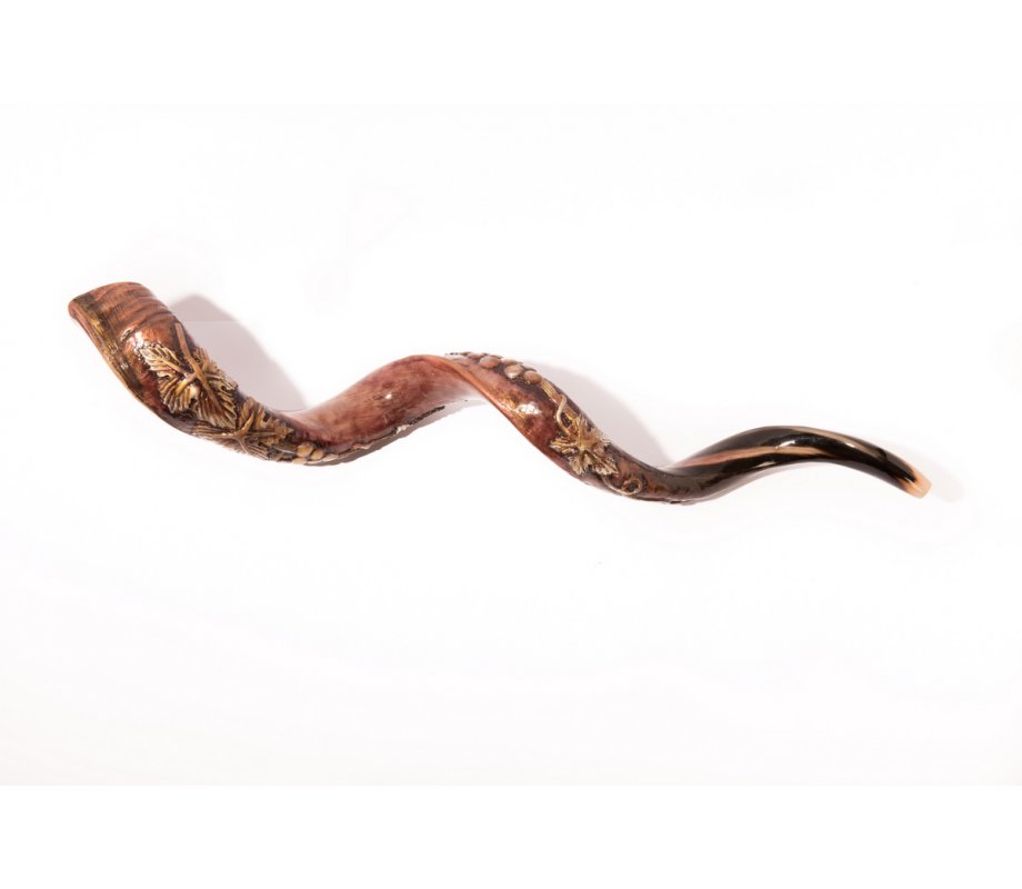 Hand Sculpted Yemenite Shofar - 3D Grapevine Design