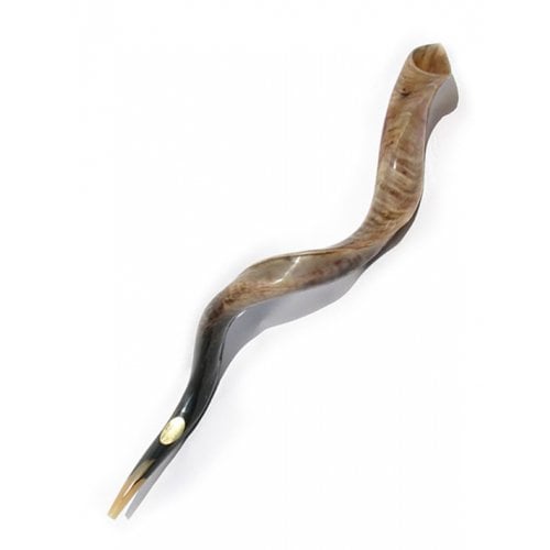 High Quality Yemenite Shofar Kosher Horn - Polished