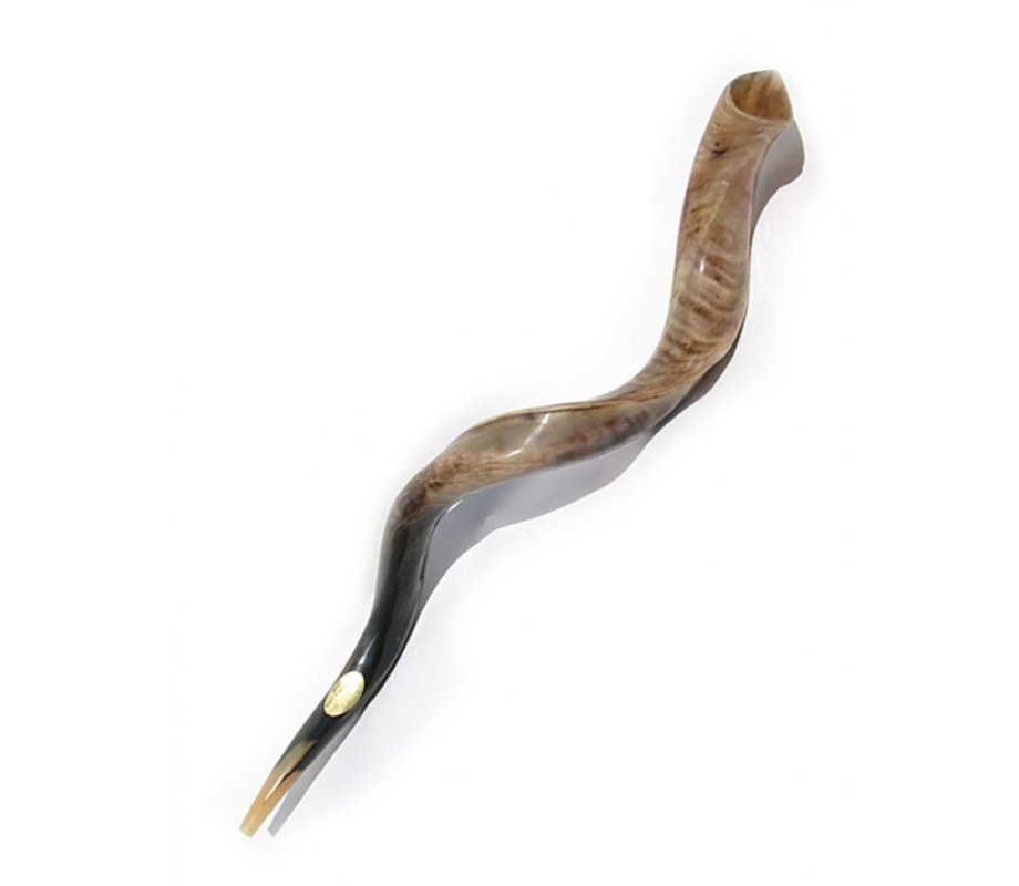 High Quality Yemenite Shofar Kosher Horn - Polished