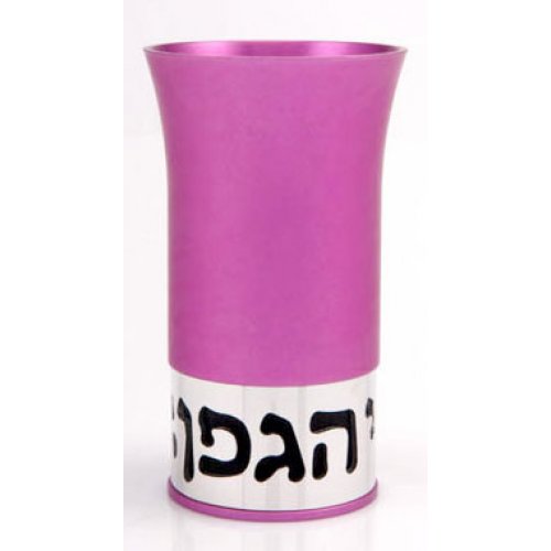 Hot Pink Kiddush Cup by Agayof