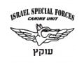 IDF 