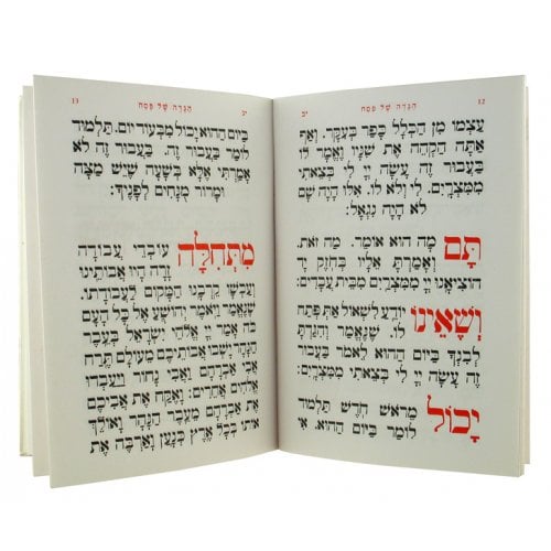 Illustrated Pesach Haggadah