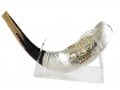 Israel 70 - Sterling Silver Ram's Horn Shofar - Limited Edition