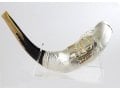 Israel 70 - Sterling Silver Ram's Horn Shofar - Limited Edition