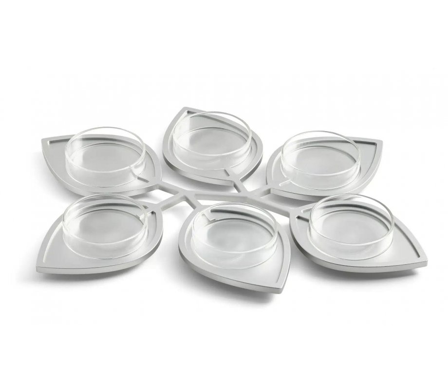 Israel Museum Silver Anodized Aluminum Raised Passover Seder Plate - Leaf Design
