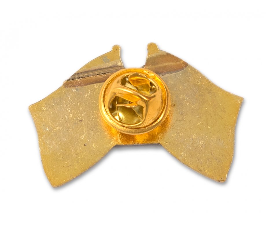 Israel-Ukraine Flags Lapel Pin (Pack of 5)