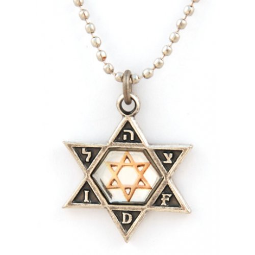 Israeli Army Star of David Bronze Pendant with Reflective Center