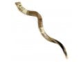 Jumbo Yemenite Hand Painted Shofar - Jerusalem with Olive Tree