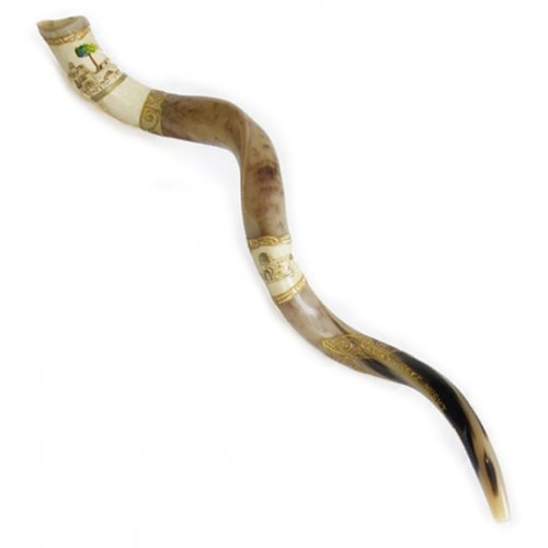 Jumbo Yemenite Hand Painted Shofar - Jerusalem with Olive Tree