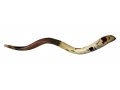 Jumbo Yemenite Hand Painted Shofar - Red Pomegranate