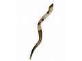 Jumbo Yemenite Hand Painted Shofar - Red Pomegranate