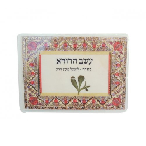 Laminated Card - Holding dried Rodah (Rue) Grass Against the Evil Eye
