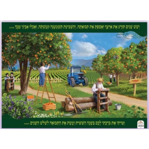 Laminated Colorful Wall Poster - A Field During the Shmita (Sabbatical) Year