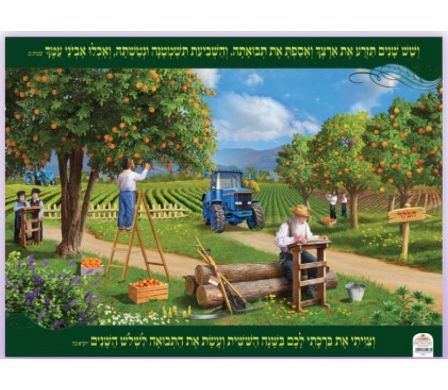 Laminated Colorful Wall Poster - A Field During the Shmita (Sabbatical) Year