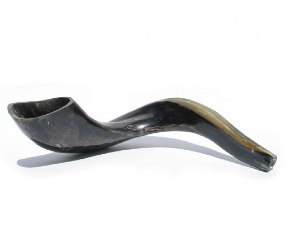 Large Black Kosher Ram's Horn Shofar Polished Made in Israel