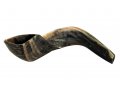 Large Black Rams Horn Shofar - Natural