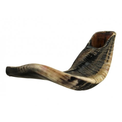 Large Black Rams Horn Shofar - Natural