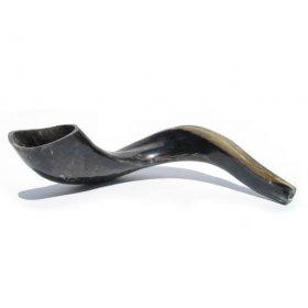 Large Ram's Horn Shofar Natural