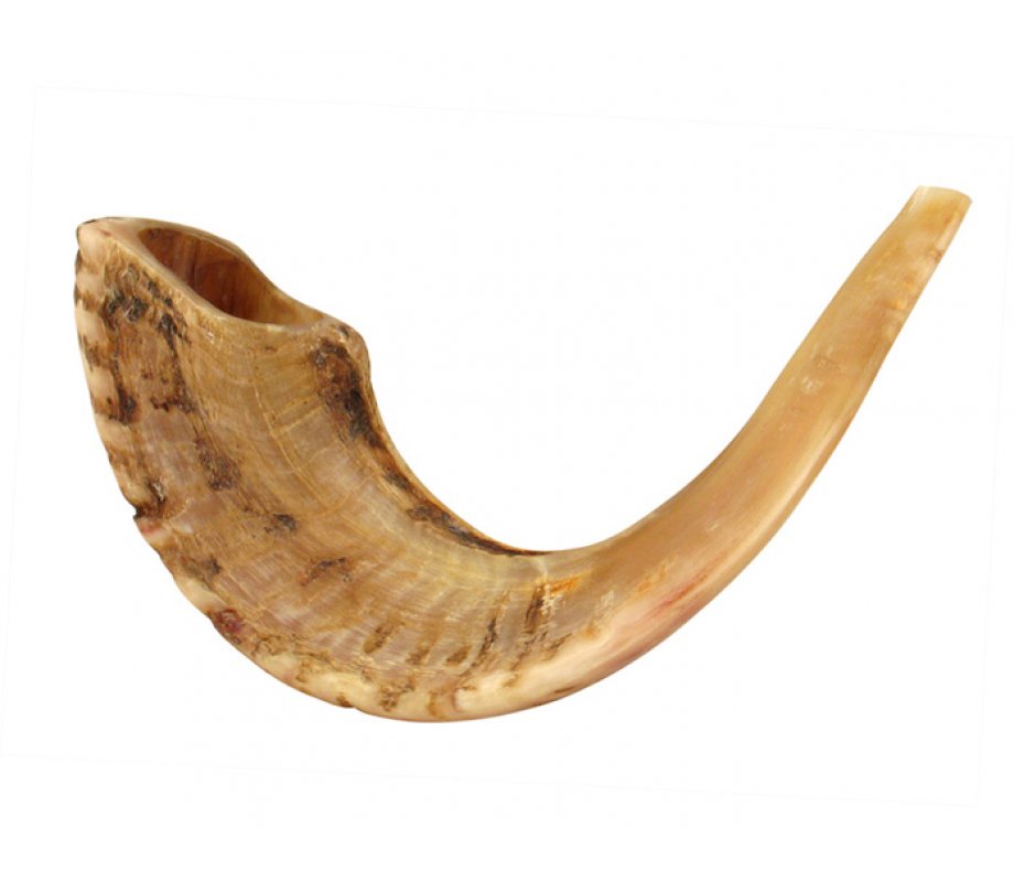 Large Rams Horn Shofar with Light Shades - Natural Finish