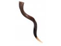 Large Yemenite Kudu Shofar - Half Polished Half Natural