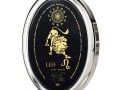 Leo Zodiac Pendant by Nano Jewelry