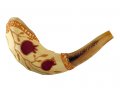 Light Hand Painted Rams Horn Shofar - Pomegranate