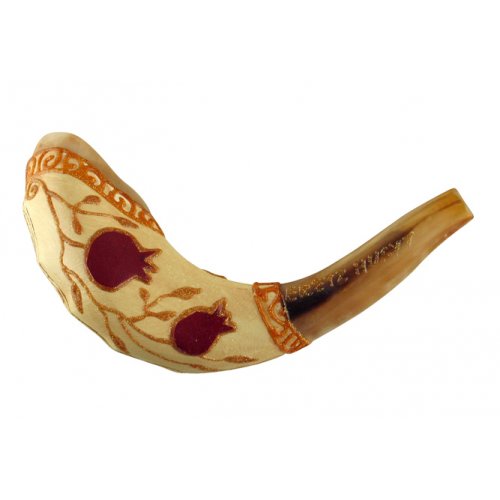 Light Hand Painted Rams Horn Shofar - Pomegranate