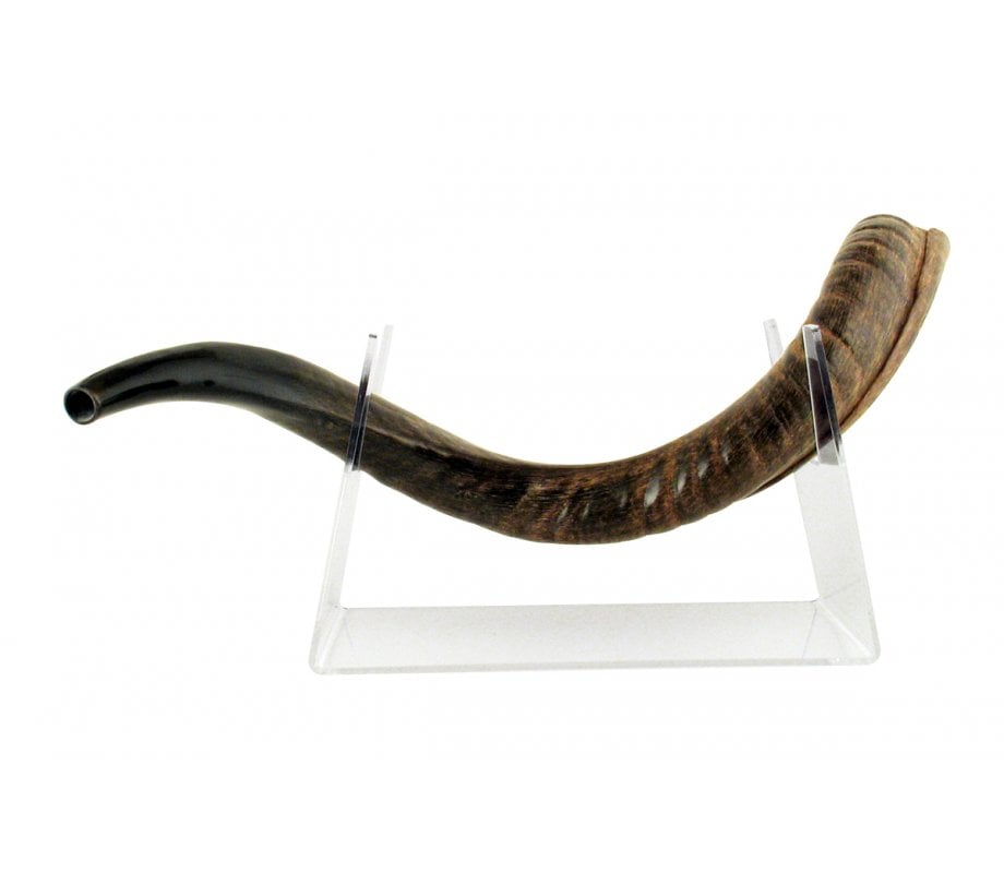 Lucite Stand Fits Yemenite Shofar 22-40 Inches Length