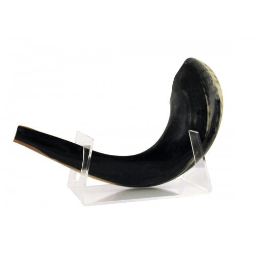 Lucite Stand for Medium Rams Shofar, 11-18 Inches Length