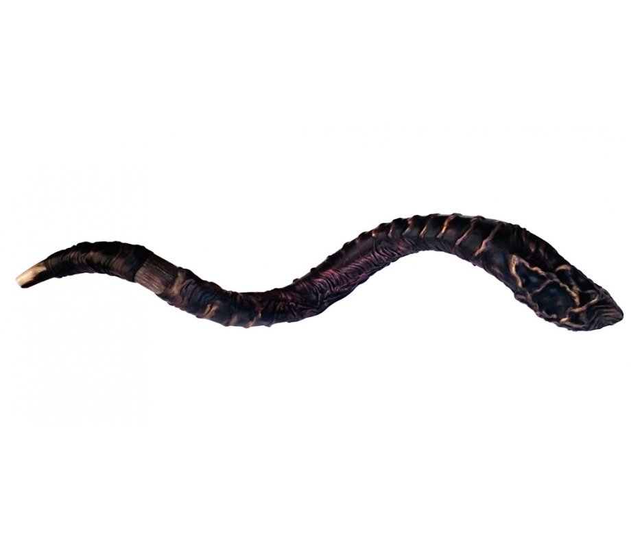 Majestic Leather-bound Jumbo Yemenite Shofar - Star of David Design