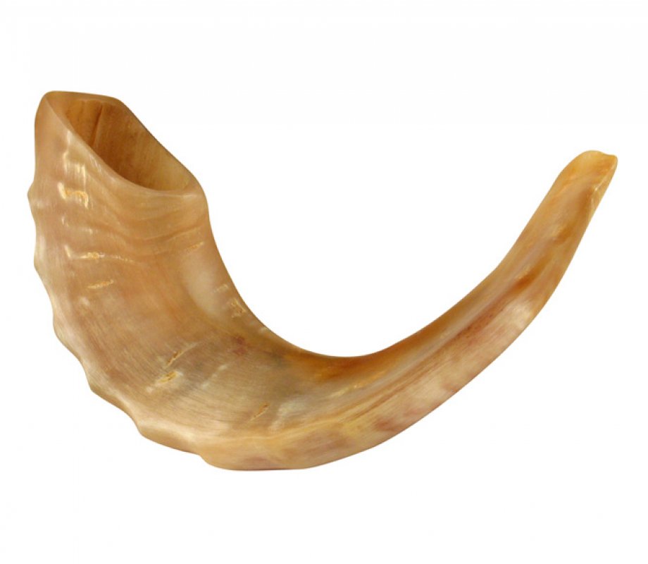 Image result for shofar