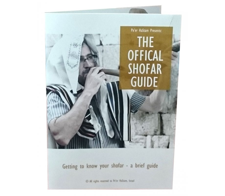 Medium Rams Horn Shofar - Polished