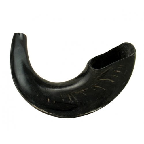 Medium Rams Horn Shofar with Dark Shades  Polished Finish