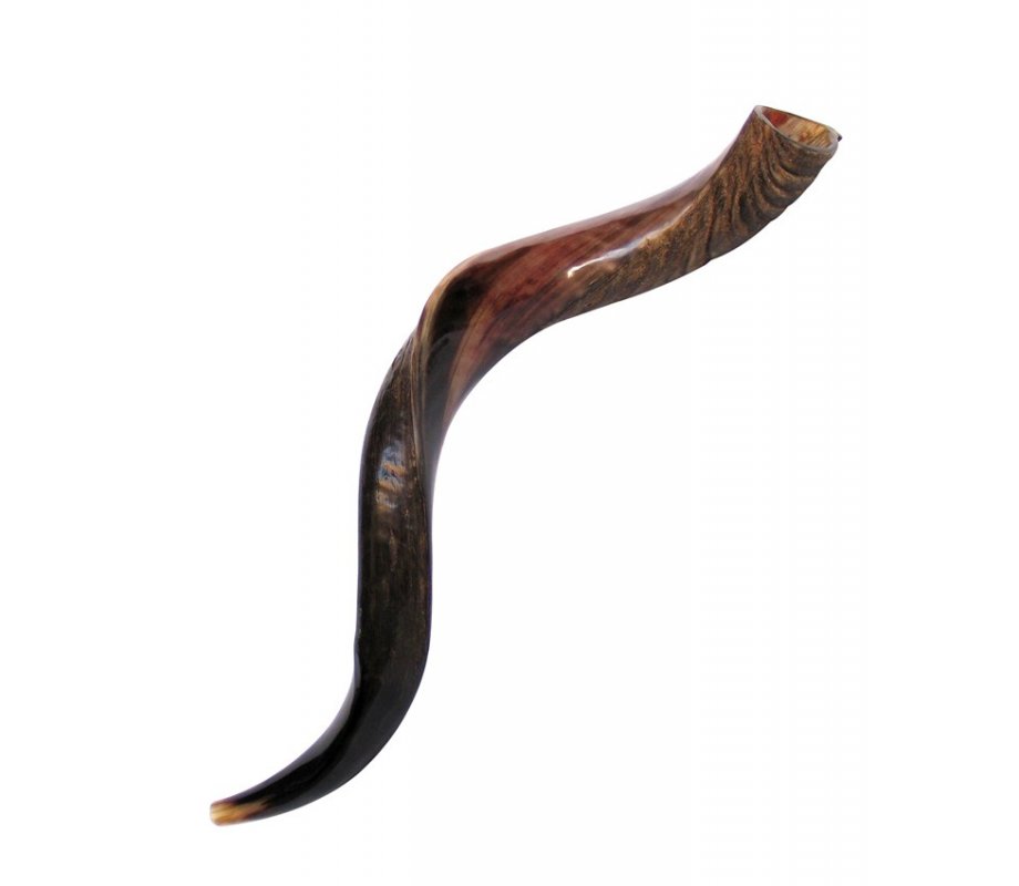 Medium Yemenite Kudu Shofar - Half Polished Half Natural