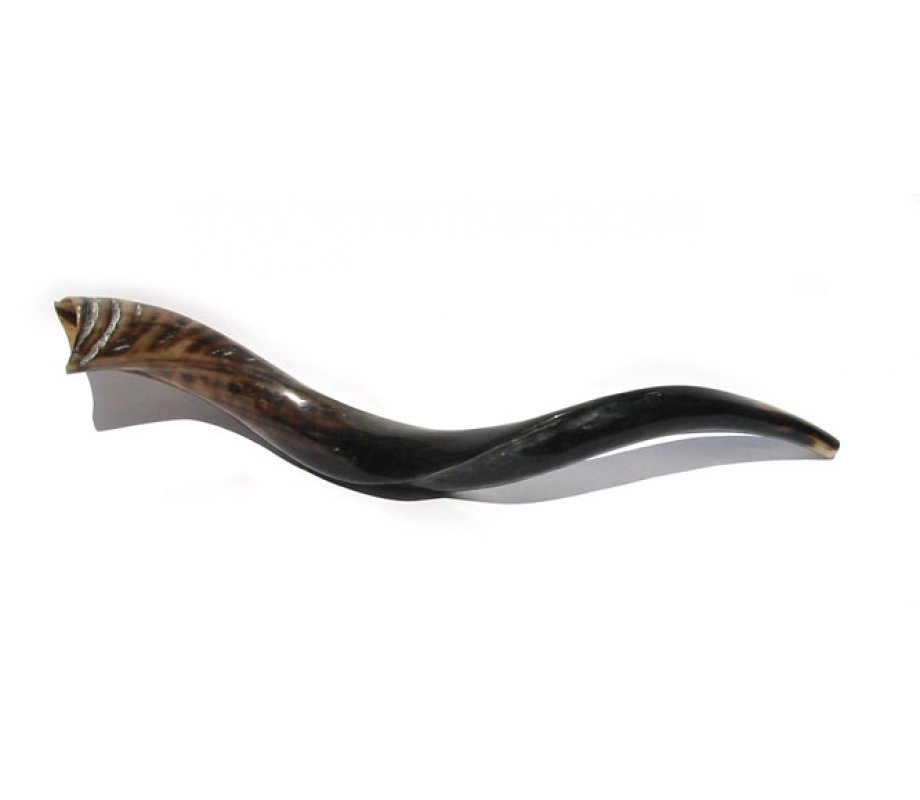 Medium Yemenite Shofar - Polished
