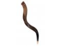 Medium Yemenite Shofar Natural Finish