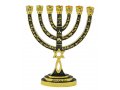 Messianic Seal Gold Tone Seven Branch Menorah Grafted Star of David - Green